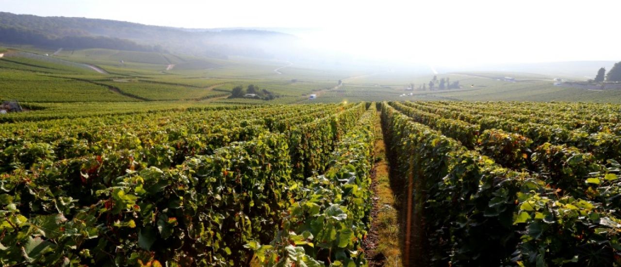 L'oenotourisme en effervescence en Champagne, surfant sur l'effet Unesco L'oenotourisme en effervescence en Champagne, surfant sur l'effet Unesco