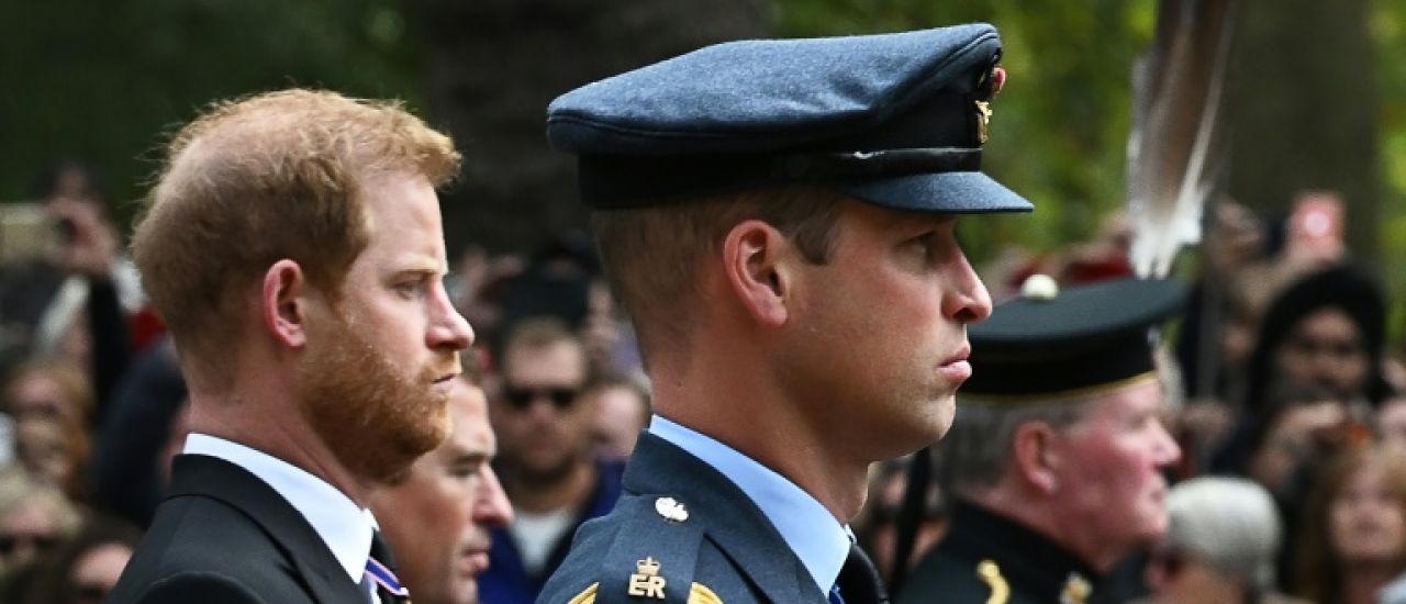 Harry, ou le difficile retour au pays d'un prince