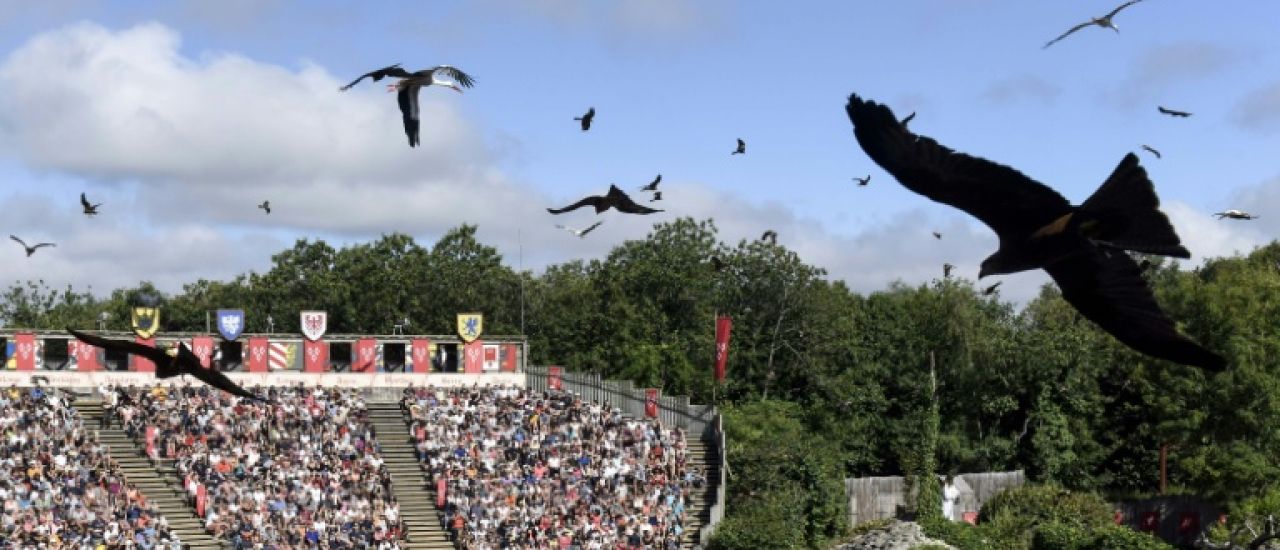 Le Puy du Fou bat son record de fréquentation en 2025 avec 3 millions de visiteurs