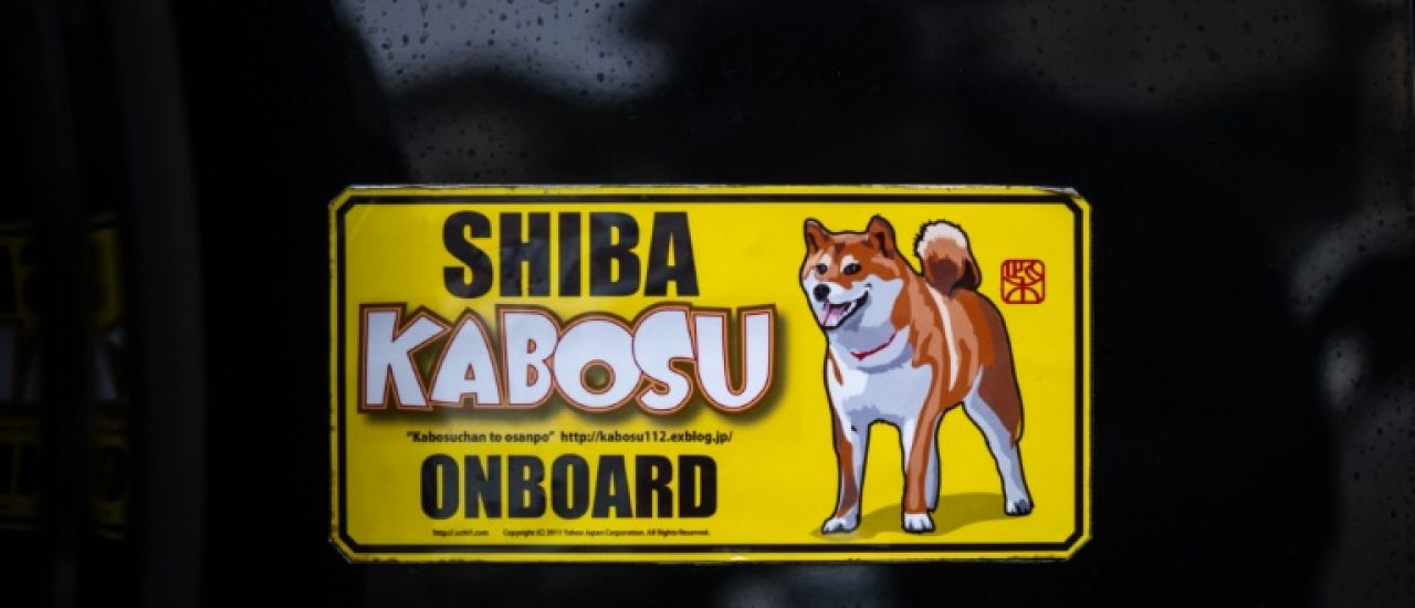 Le fabuleux destin de Kabosu, chienne star d'internet et emblème du dogecoin