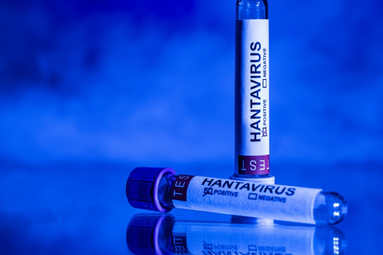 Hantavirus : beaucoup de questions avant le point de la ministre de la Santé