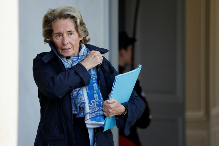 L'ex ministre Caroline Cayeux condamnée pour fraude fiscale