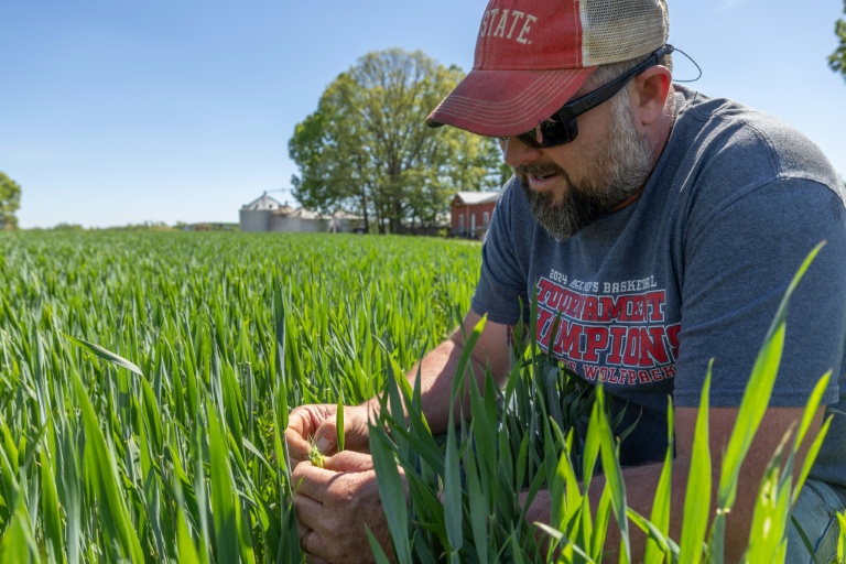 Aux Etats-Unis, des agriculteurs rattrapés par la guerre au Moyen-Orient