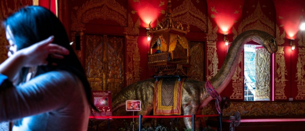 Des découvertes titanesques dans le "Jurassic Park" thaïlandais
