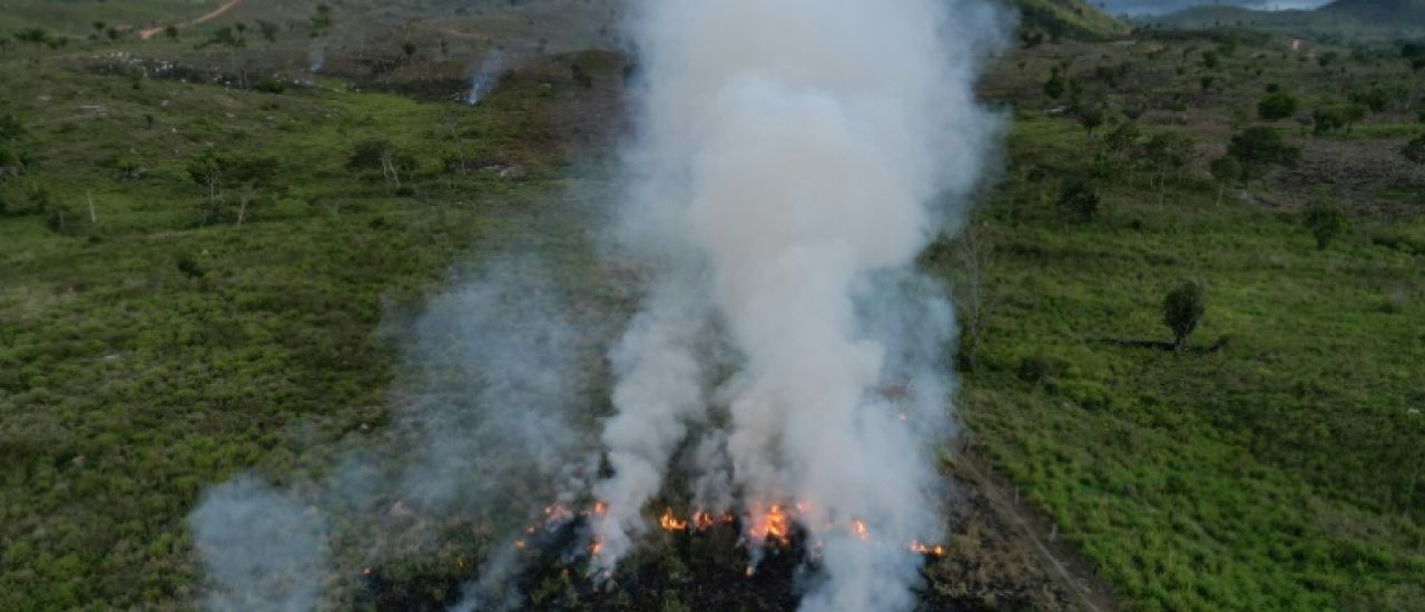Qui met le feu à l'Amazonie ? Qui met le feu à l'Amazonie ?