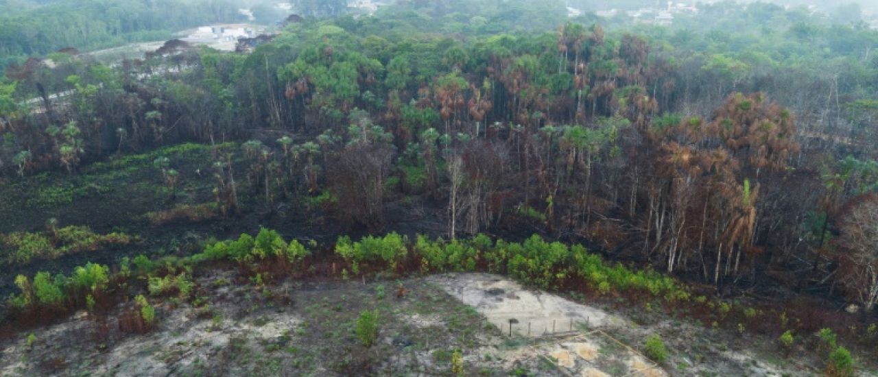 Brésil: la forêt amazonienne amputée d'une surface équivalente à l'Espagne en 40 ans