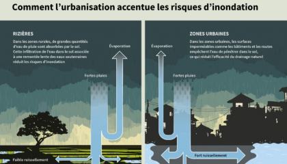Inondations: Bali fait les frais du développement touristique effréné