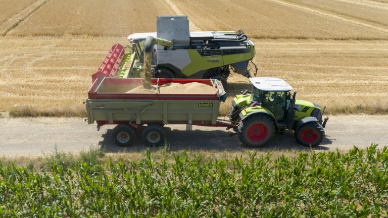 Rebond des prix et volumes agricoles en 2025, après la terrible année 2024 (bilan Insee)