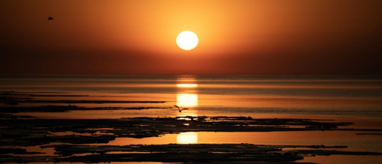 Climat: le dépassement de l'objectif de 1,5 °C est "inévitable", selon le chef de l'ONU Climat: le dépassement de l'objectif de 1,5 °C est "inévitable", selon le chef de l'ONU