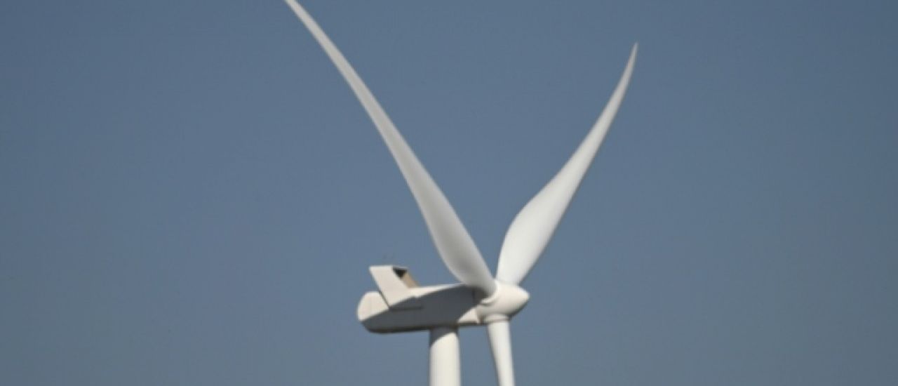 L'Afrique du Sud s'efforce de protéger les oiseaux des éoliennes L'Afrique du Sud s'efforce de protéger les oiseaux des éoliennes