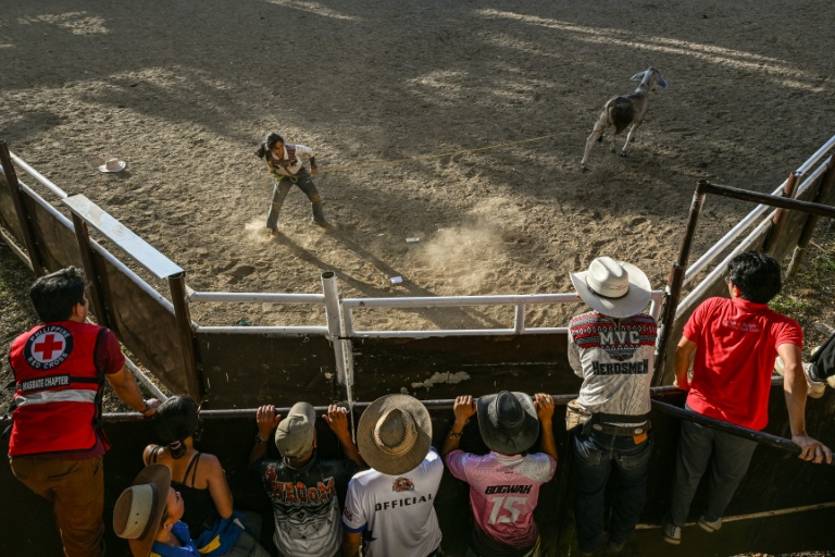 Aux Philippines, les "cowgirls" de Masbate domptent les boeufs et les préjugés