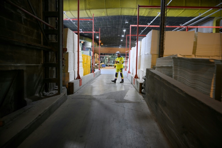 Fibre Excellence obtient trois mois de sursis supplémentaire pour son usine de Saint-Gaudens