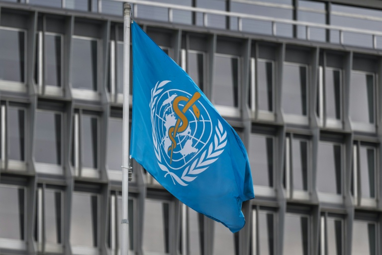 Hantavirus: le risque pour l'ensemble de la population est "absolument faible", assure l'OMS