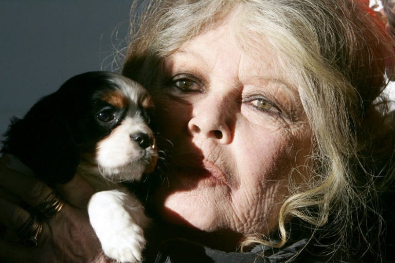 Brigitte Bardot tient l'un de ses chiens, le 28 décembre 2005 à Nice