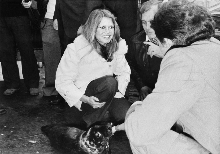 L'actrice française Brigitte Bardot lors d'une manifestation contre la chasse aux phoques, le 8 avril 1976 à Fécamp