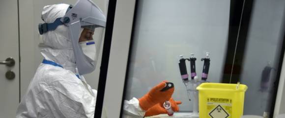 Parmi les secteurs stratégiques figurent la santé, les biotechnologies, les produits pharmaceutiques, les semi-conducteurs et les technologies numériques Parmi les secteurs stratégiques figurent la santé, les biotechnologies, les produits pharmaceutiques, les semi-conducteurs et les technologies numériques