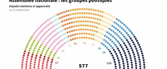 Assemblée nationale : les groupes politiques Assemblée nationale : les groupes politiques