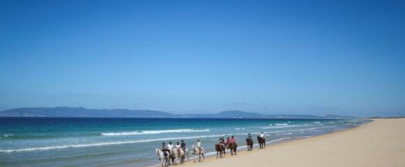 Des touristes se promènent à cheval sur la plage de Comporta, le 11 septembre 2025 au Portugal Des touristes se promènent à cheval sur la plage de Comporta, le 11 septembre 2025 au Portugal