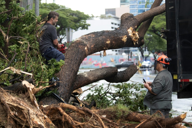 Des ouvriers tronçonnent un arbre devant un centre de conférences à Honolulu (Hawaï), après le passage de la tempête Lala, le 16 août 2026