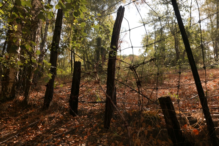 Un grillage métallique entourant une propriété privée dans la forêt de Sologne à Brinon-sur-Sauldre, dans le Cher, le 26 août 2026