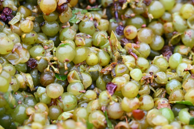 Raisin récolté à La Palme (Aude) le 30 juillet 2026