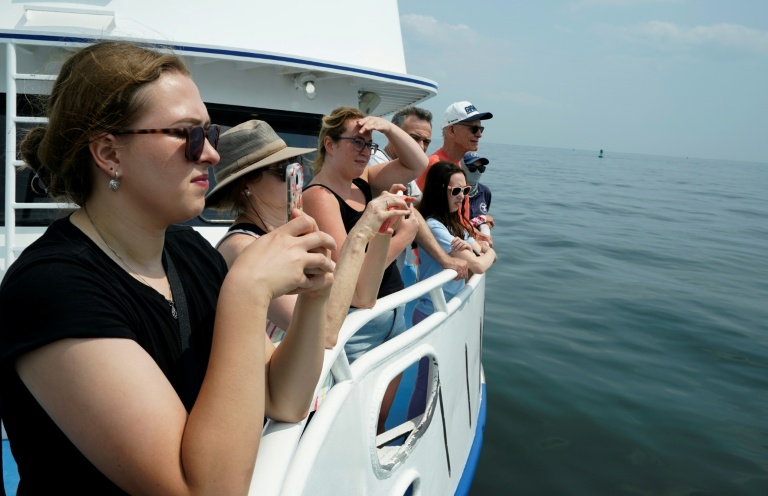 Des touristes à bord d'un bateau d'observation de baleines, au large de New York, le 13 août 2026