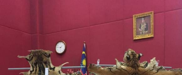 Photo du Département malaisien de la faune sauvage, prise et publiée le 6 juillet 2018, montrant la peau saisie d'un tigre malais en voie de disparition critique lors d'une conférence de presse à Kuala Lumpur Photo du Département malaisien de la faune sauvage, prise et publiée le 6 juillet 2018, montrant la peau saisie d'un tigre malais en voie de disparition critique lors d'une conférence de presse à Kuala Lumpur