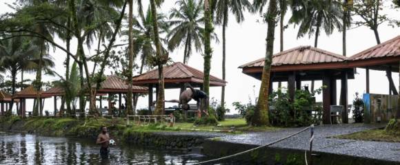 Un touriste dans la piscine de l'hôtel Seme Beach, à Limbé, le 4 octobre 2025 au Cameroun Un touriste dans la piscine de l'hôtel Seme Beach, à Limbé, le 4 octobre 2025 au Cameroun