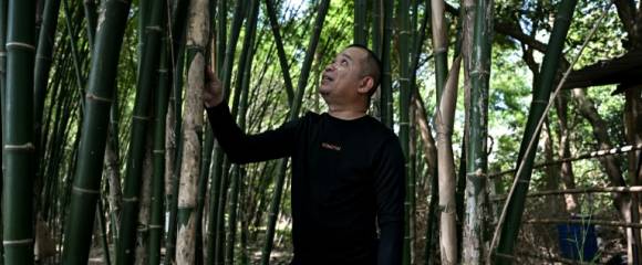 Khomchalat Thongting pose le 20 octobre 2025 à Prachin Buri, en Thaïlande Khomchalat Thongting pose le 20 octobre 2025 à Prachin Buri, en Thaïlande