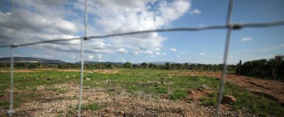 Un site identifié comme ayant abrité des tombes de harkis, près du Mémorial du camp de Rivesaltes, le 28 avril 2025 dans les Pyrénées-Orientales Un site identifié comme ayant abrité des tombes de harkis, près du Mémorial du camp de Rivesaltes, le 28 avril 2025 dans les Pyrénées-Orientales