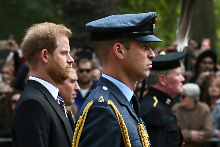 Les princes William, au premier plan, et Harry, fils du roi d'Angleterre Charles III, aux funérailles de la reine Elizabeth, le 19 septembre 2022