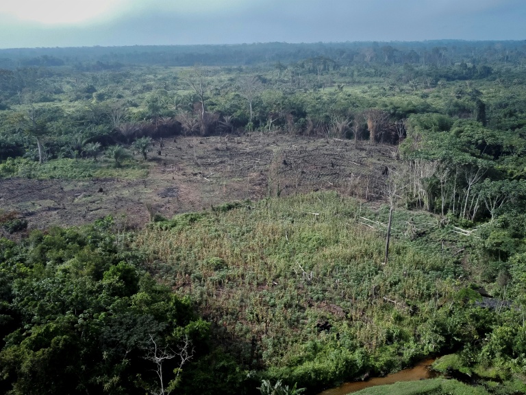 Vue aérienne d'une exploitation agricole déboisée à Yanonge, dans le nord-est de la RDC, le 1er septembre 2022