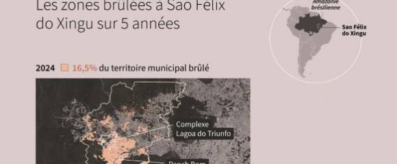 Amazonie brésilienne : les zones brûlées à Sao Felix do Xingu sur 5 années Amazonie brésilienne : les zones brûlées à Sao Felix do Xingu sur 5 années