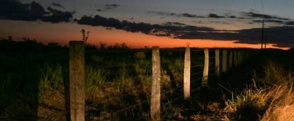 Une clôture délimitant une propriété à Sao Felix do Xingu, en Amazonie brésilienne, le 21 juin 2025 Une clôture délimitant une propriété à Sao Felix do Xingu, en Amazonie brésilienne, le 21 juin 2025