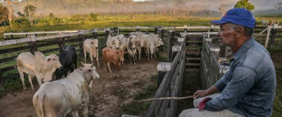 L'éleveur Jose Juliao do Nascimento à Sao Felix do Xingu, en Amazonie brésilienne, le 18 juin 2025 L'éleveur Jose Juliao do Nascimento à Sao Felix do Xingu, en Amazonie brésilienne, le 18 juin 2025