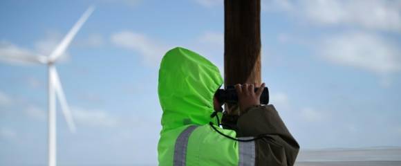 Surveillance des oiseaux en voie de disparition à proximité des éoliennes du parc éolien Excelsior, près de Swellendam, le 16 septembre 2025 en Afrique du Sud Surveillance des oiseaux en voie de disparition à proximité des éoliennes du parc éolien Excelsior, près de Swellendam, le 16 septembre 2025 en Afrique du Sud
