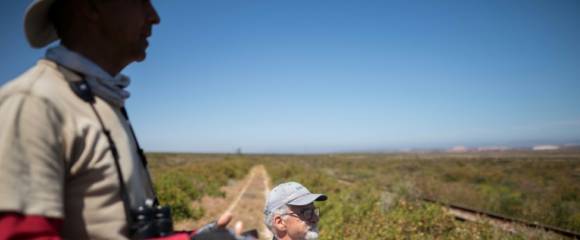 Rob Simmons (d) de l'Université du Cap et le guide ornithologique Eric Herrman recherchent des busards noirs en voie de disparition dans le parc éolien de Hopefield, le 10 octobre 2025 en Afrique du Sud Rob Simmons (d) de l'Université du Cap et le guide ornithologique Eric Herrman recherchent des busards noirs en voie de disparition dans le parc éolien de Hopefield, le 10 octobre 2025 en Afrique du Sud