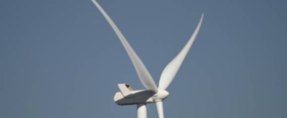 Un busard Maure, une espèce en voie de disparition, vole à proximité d'une éolienne du parc de Hopefield, le 10 octobre 2025 en Afrique du Sud Un busard Maure, une espèce en voie de disparition, vole à proximité d'une éolienne du parc de Hopefield, le 10 octobre 2025 en Afrique du Sud