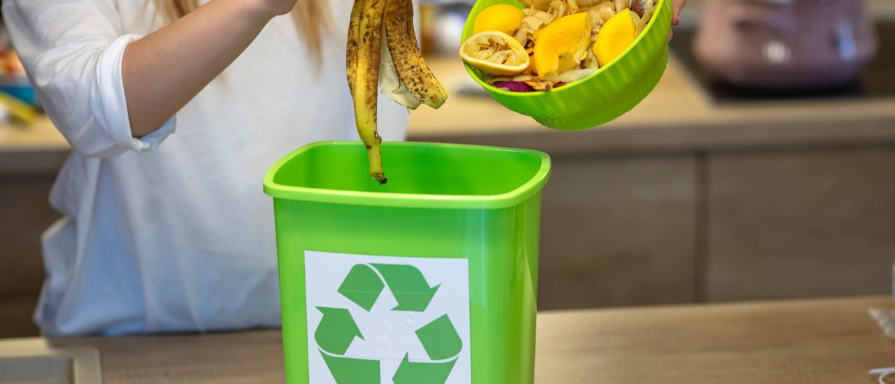 Biodéchets : comment les gérer dans votre entreprise ?