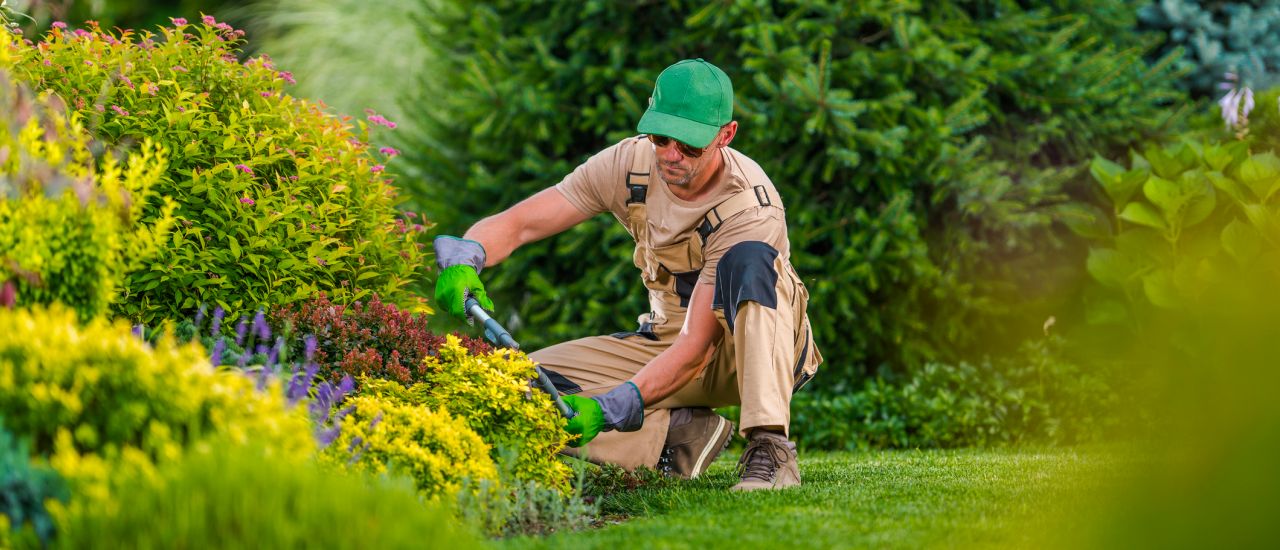 Auto-entrepreneur : comment devenir jardinier professionnel ?