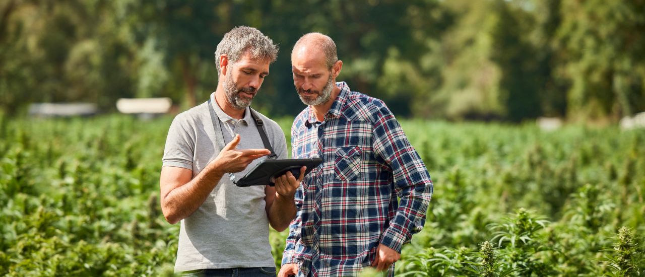 Comment se connecter à Internet sans box ?