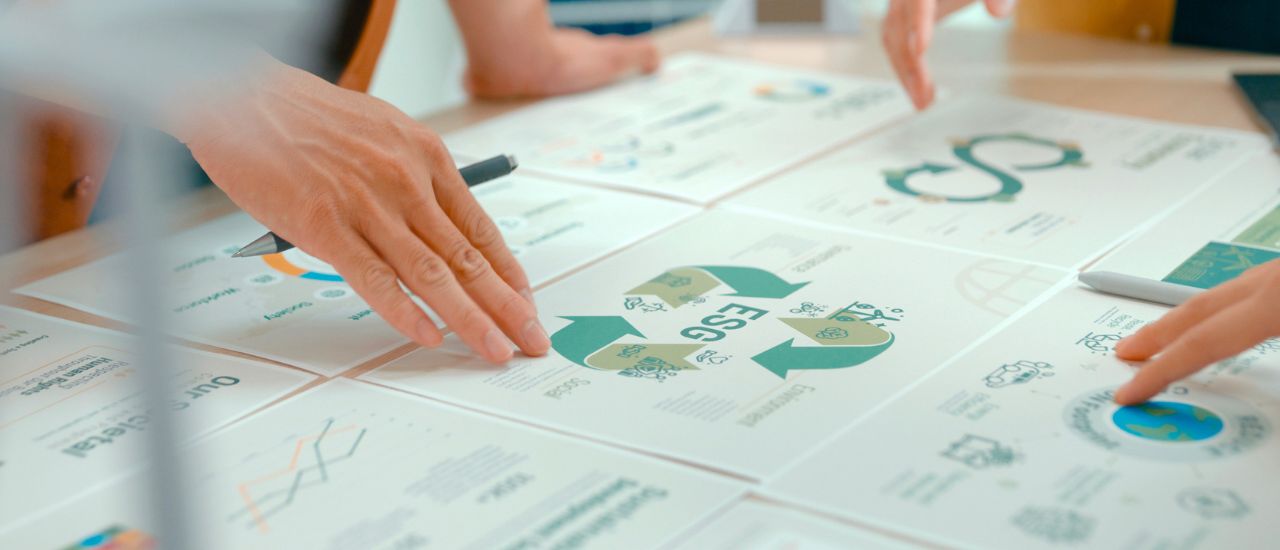 VMSE : le rapport de durabilité pour les TPE et auto-entreprises